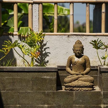 Cat Cow Yoga Villa Canggu Exteriör bild